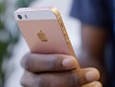 iPhone SE признали лучшим "яблочным" смартфоном по соотношению цена-автономность